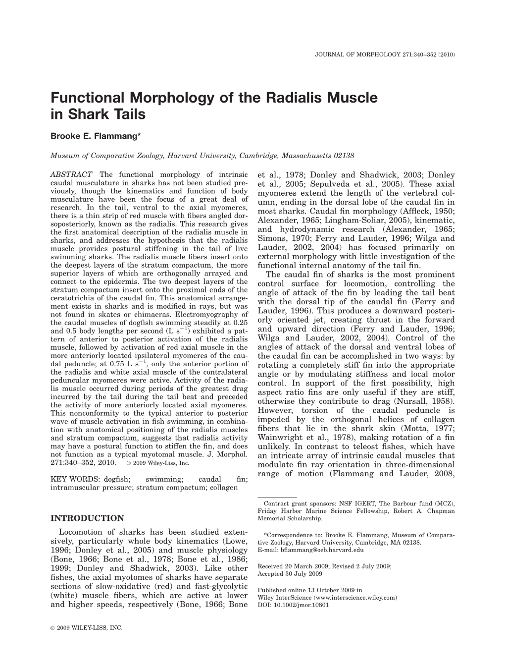 Functional Morphology of the Radialis Muscle in Shark Tails