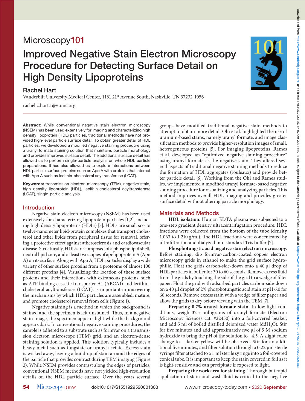 Improved Negative Stain Electron Microscopy Procedure for Detecting Surface Detail On