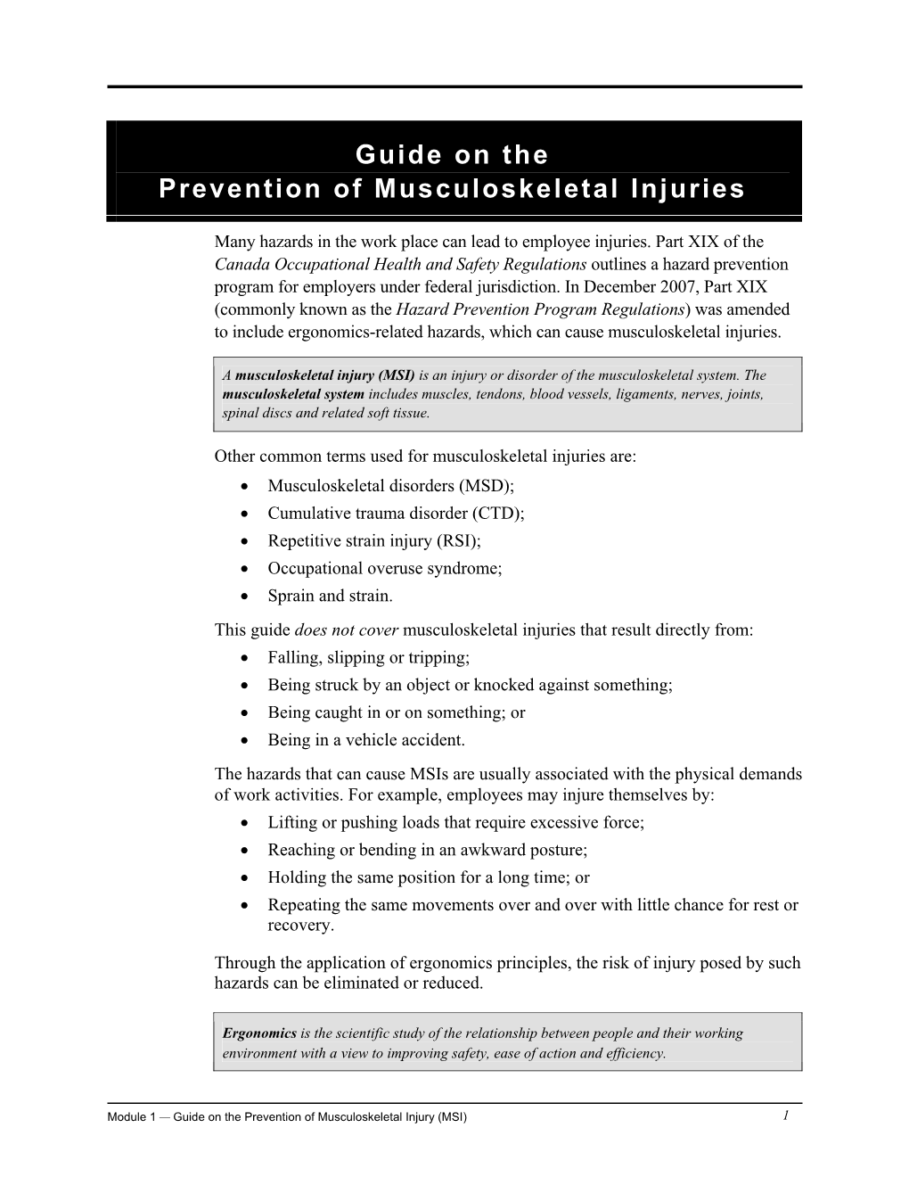 Guide on the Prevention of Musculoskeletal Injuries