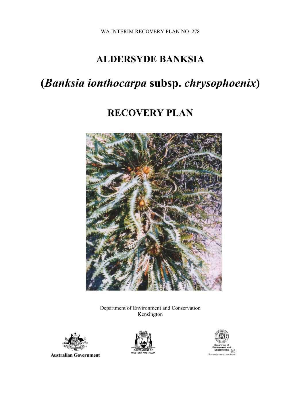 (Banksia Ionthocarpa Subsp. Chrysophoenix) RECOVERY PLAN