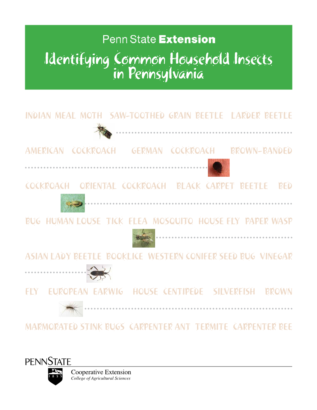 Identifying Common Household Insects in Pennsylvania