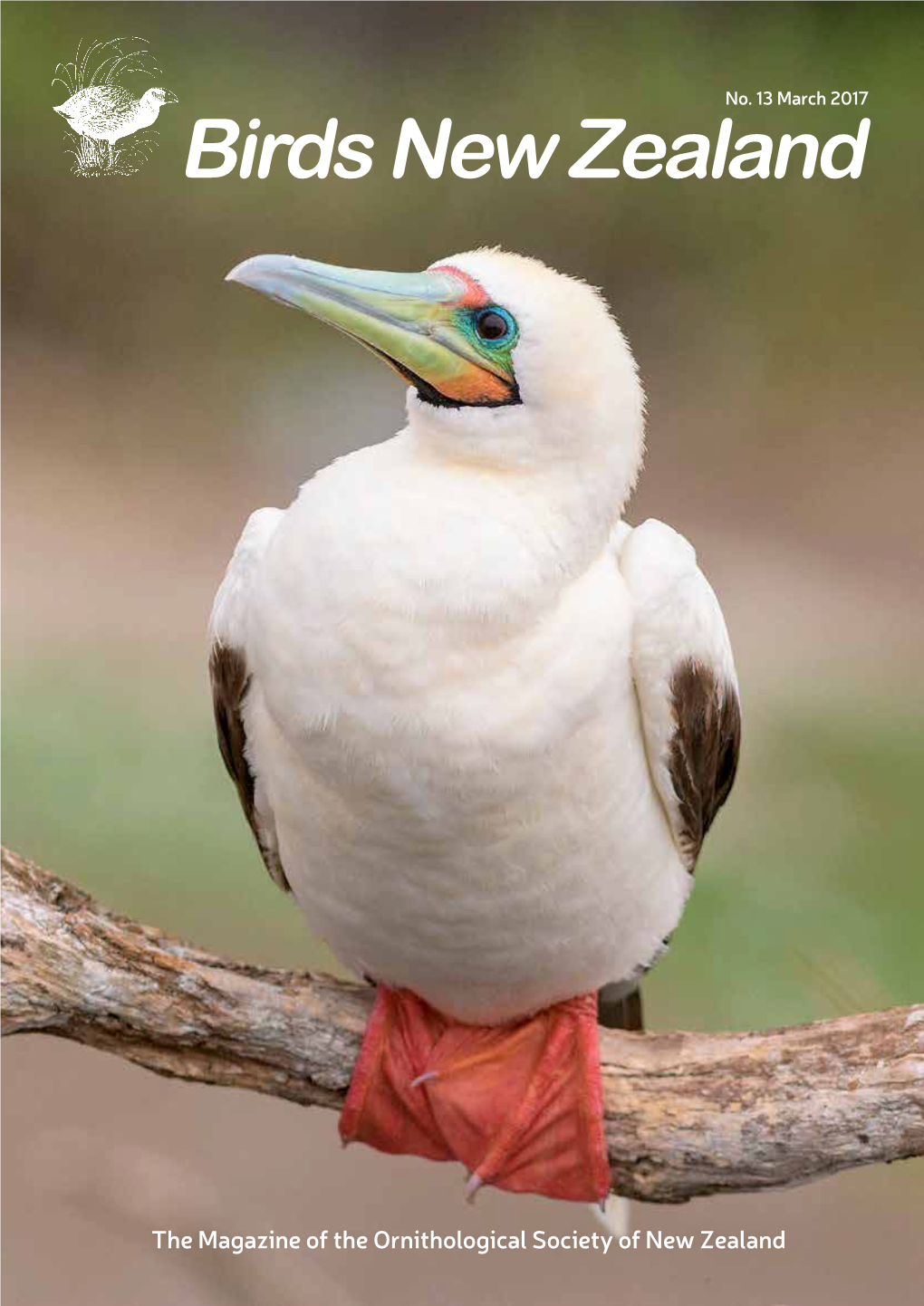 The Magazine of the Ornithological Society of New Zealand NO