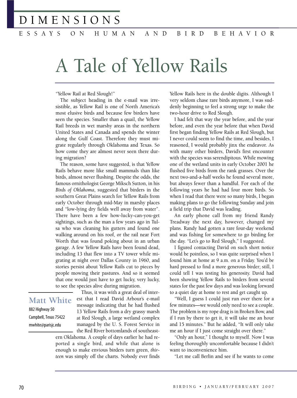 A Tale of Yellow Rails