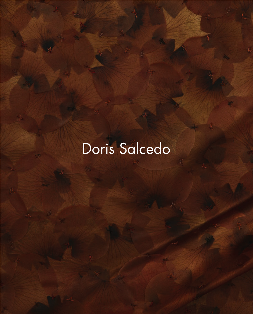 Doris Salcedo