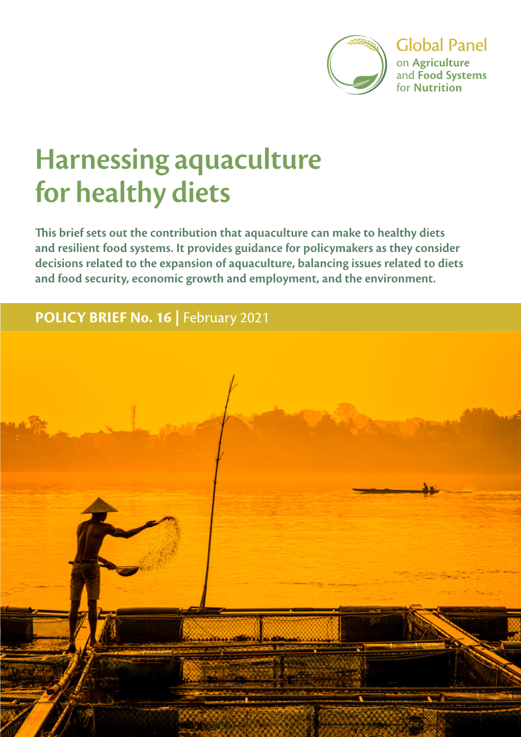 Harnessing Aquaculture for Healthy Diets