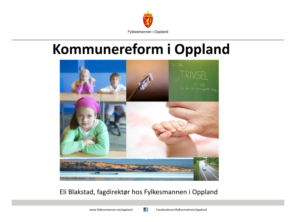 Kommunereform I Oppland