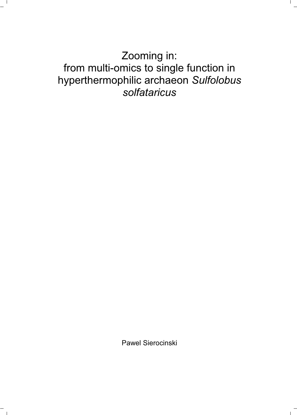 From Multi-Omics to Single Function in Hyperthermophilic Archaeon Sulfolobus Solfataricus