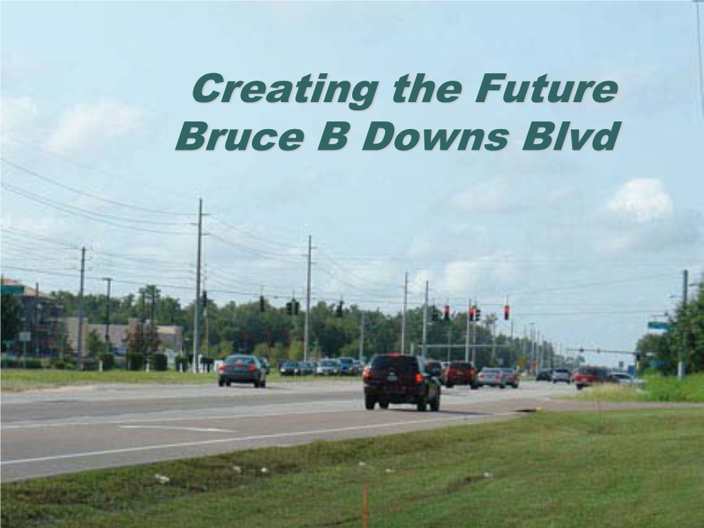 Creating the Future Bruce B Downs Blvd How Things Look Today…