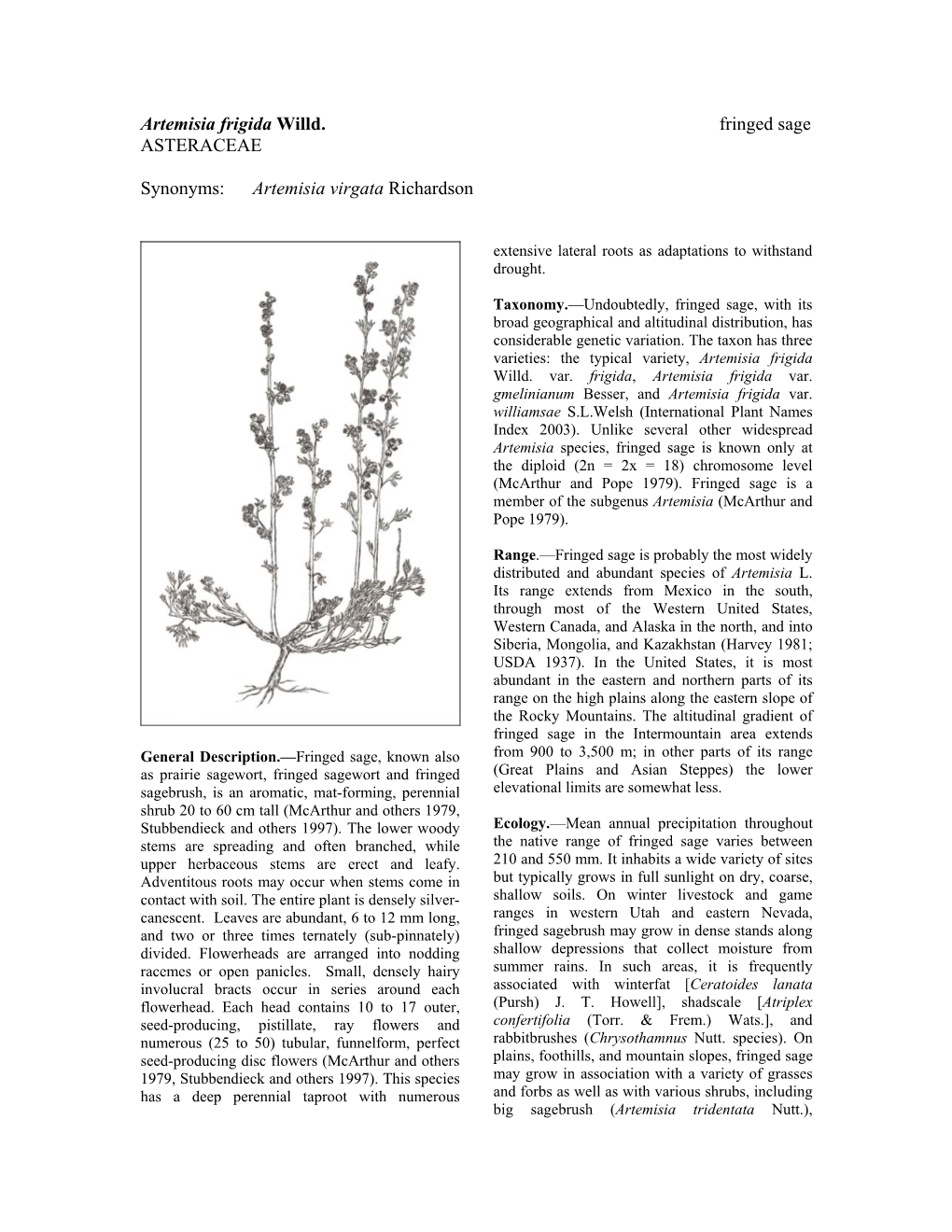 Artemisia Frigida Willd. Fringed Sage ASTERACEAE