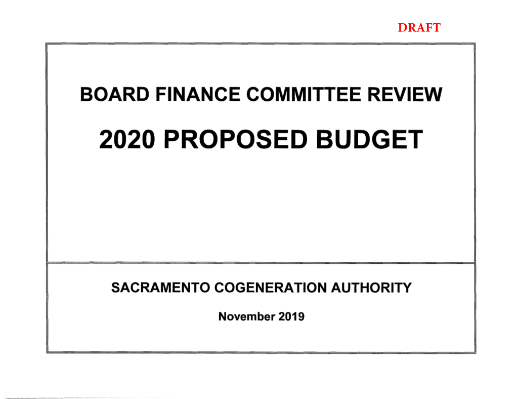 2020 Proposed Budget