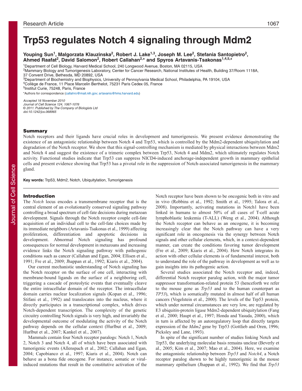 Trp53 Regulates Notch 4 Signaling Through Mdm2