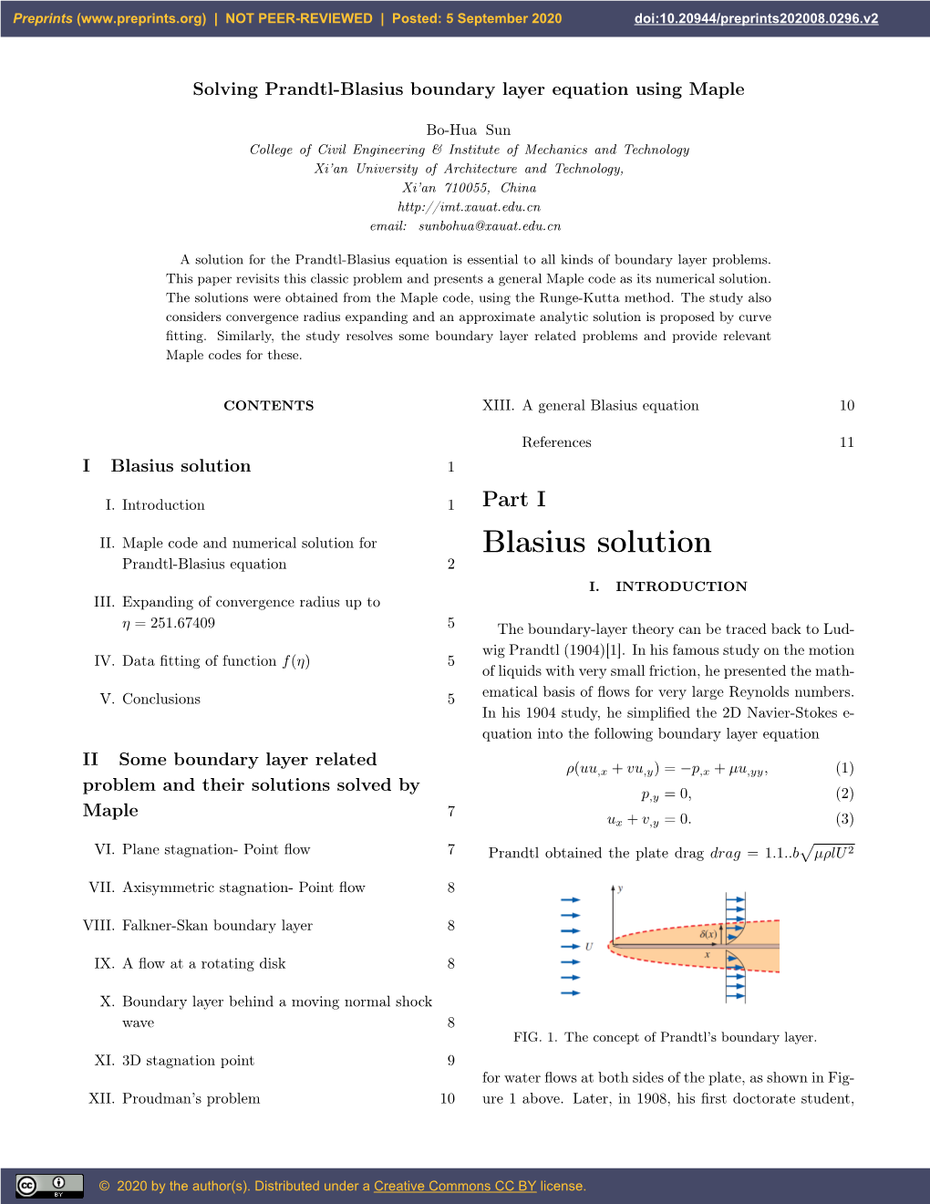 Blasius Solution 1