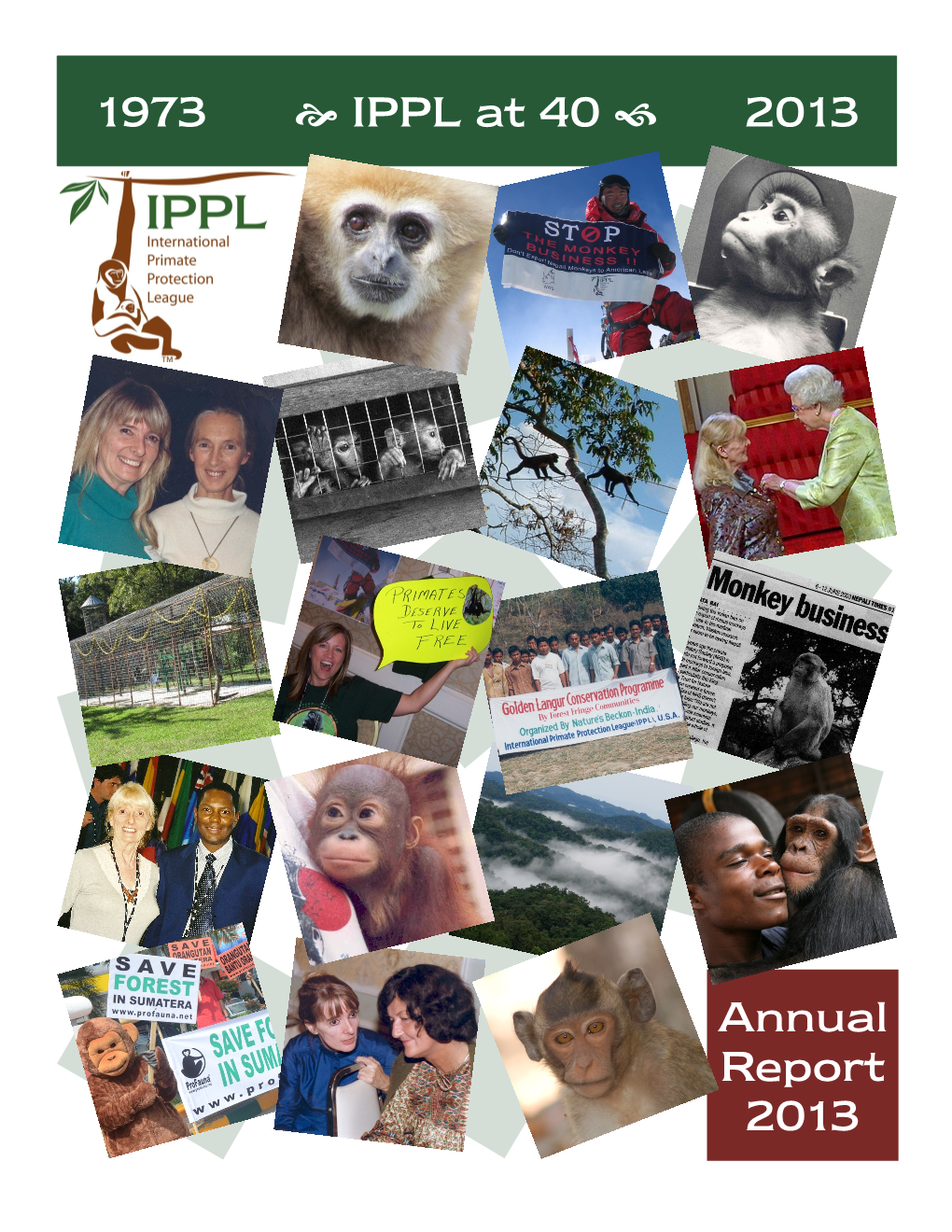 Annual Report 2013 2013 in Review