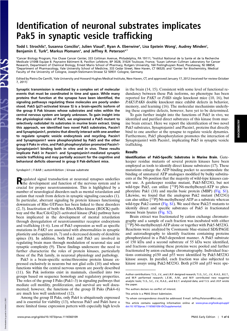 Identification of Neuronal Substrates Implicates Pak5 in Synaptic Vesicle Trafficking