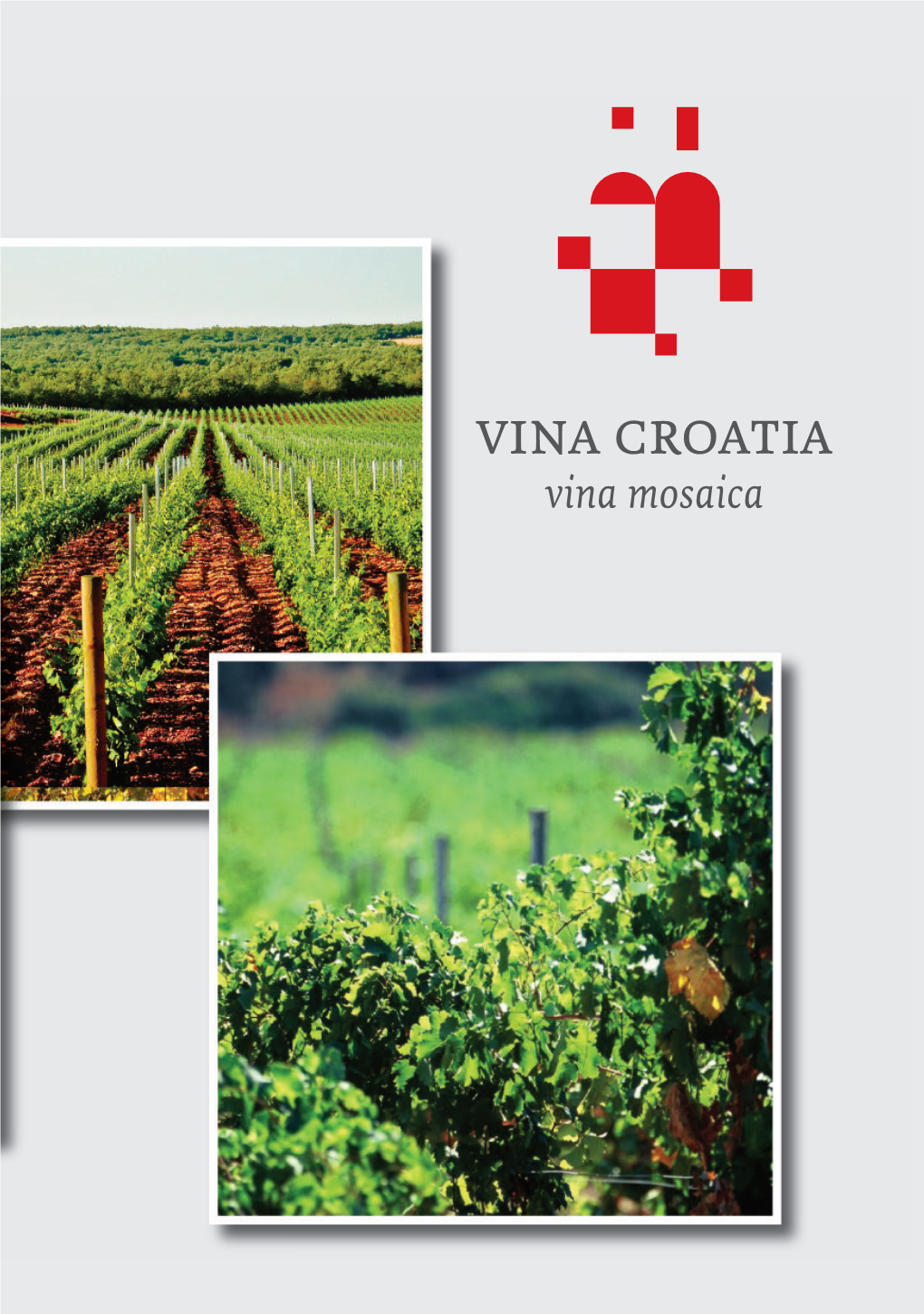 The Cuisine of Croatia's Wine Regions