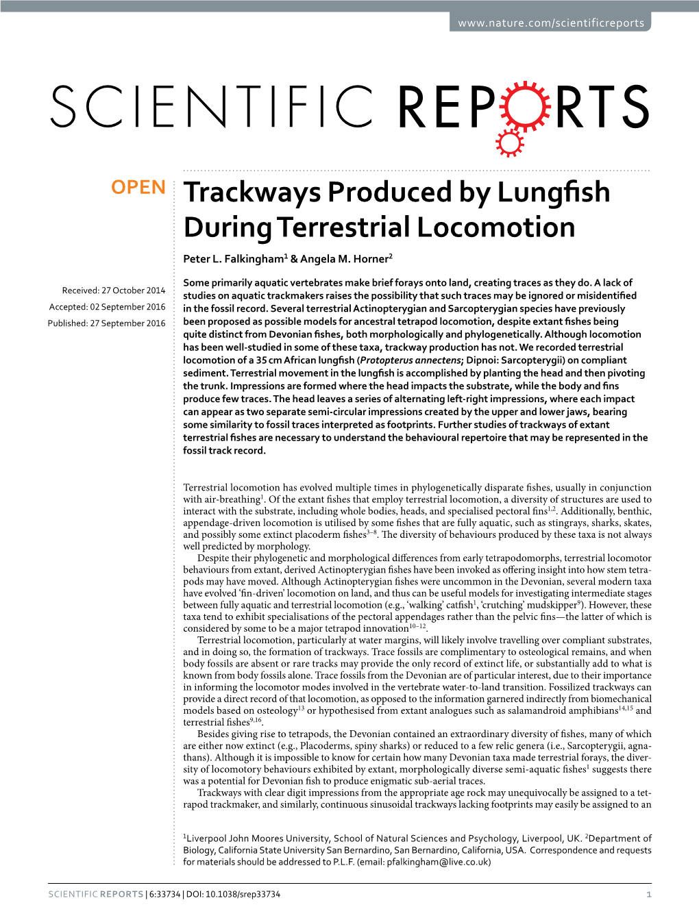 Trackways Produced by Lungfish During Terrestrial Locomotion Peter L