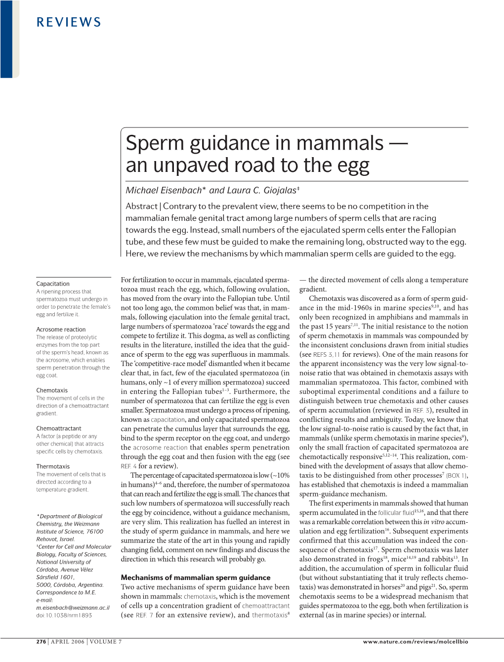 Sperm Guidance in Mammals — an Unpaved Road to the Egg