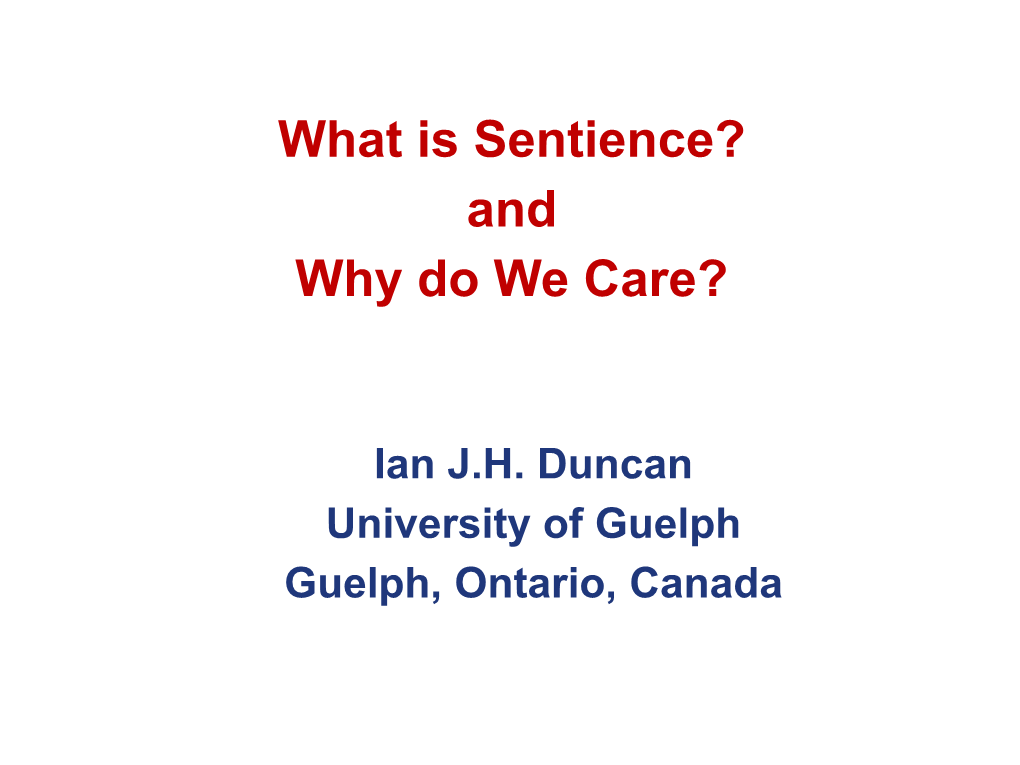 What Is Sentience? and Why Do We Care?