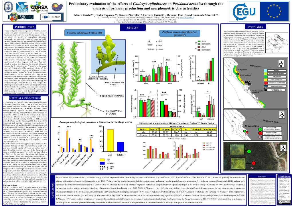 Caulerpa Racemosa on Natura 2000 Sites and Impact on Fishing Activities " in the SCI IT60000005 (Seabed Between Punta S