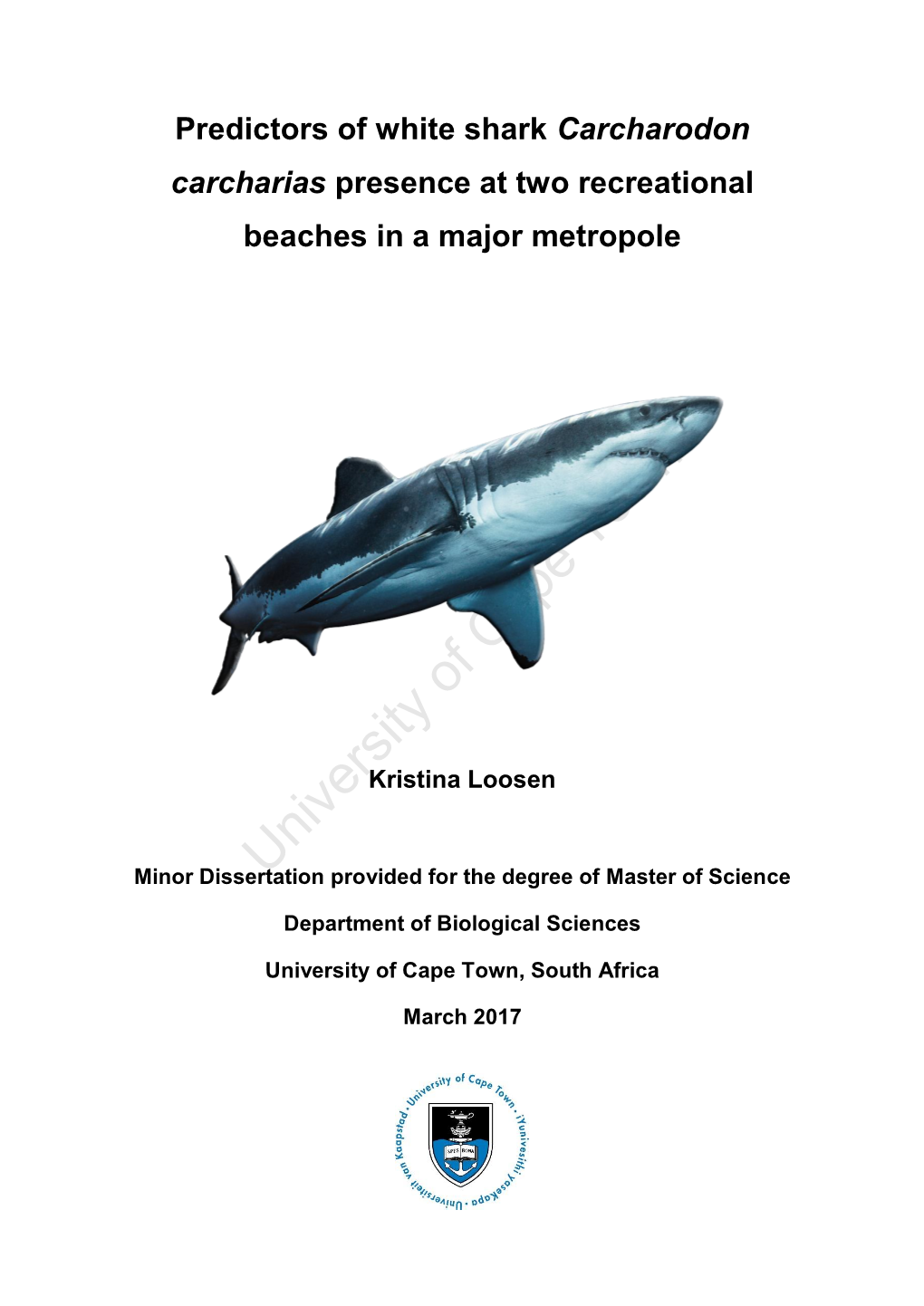 Predictors of White Shark Carcharodon Carcharias Presence at Two Recreational Beaches in a Major Metropole