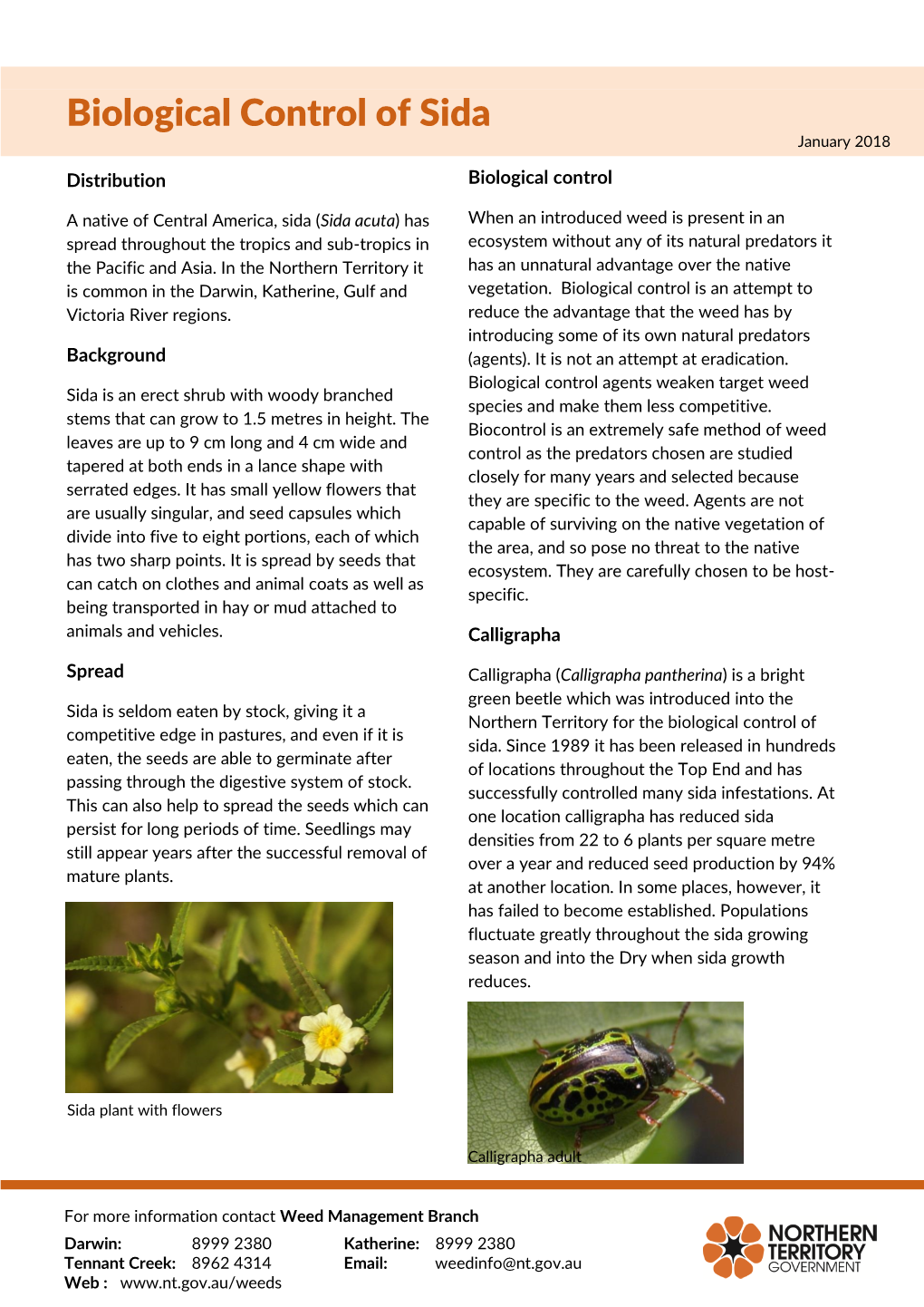 Biological Control of Sida January 2018