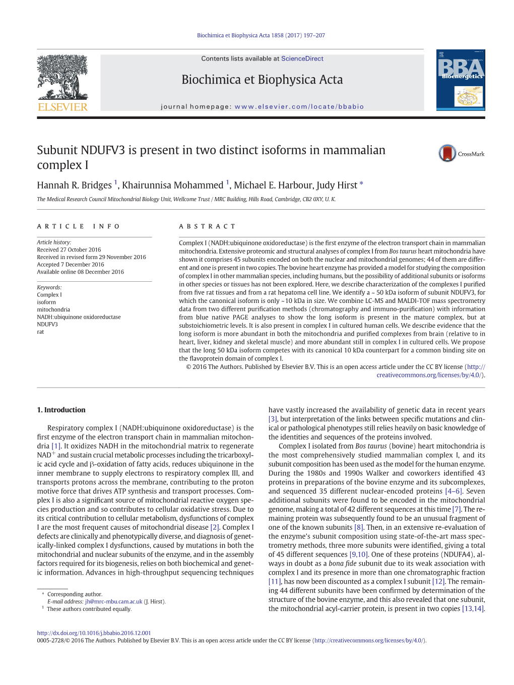 Subunit NDUFV3 Is Present in Two Distinct Isoforms in Mammalian Complex I