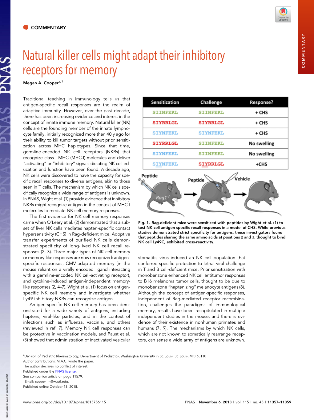 Natural Killer Cells Might Adapt Their Inhibitory Receptors for Memory COMMENTARY Megan A