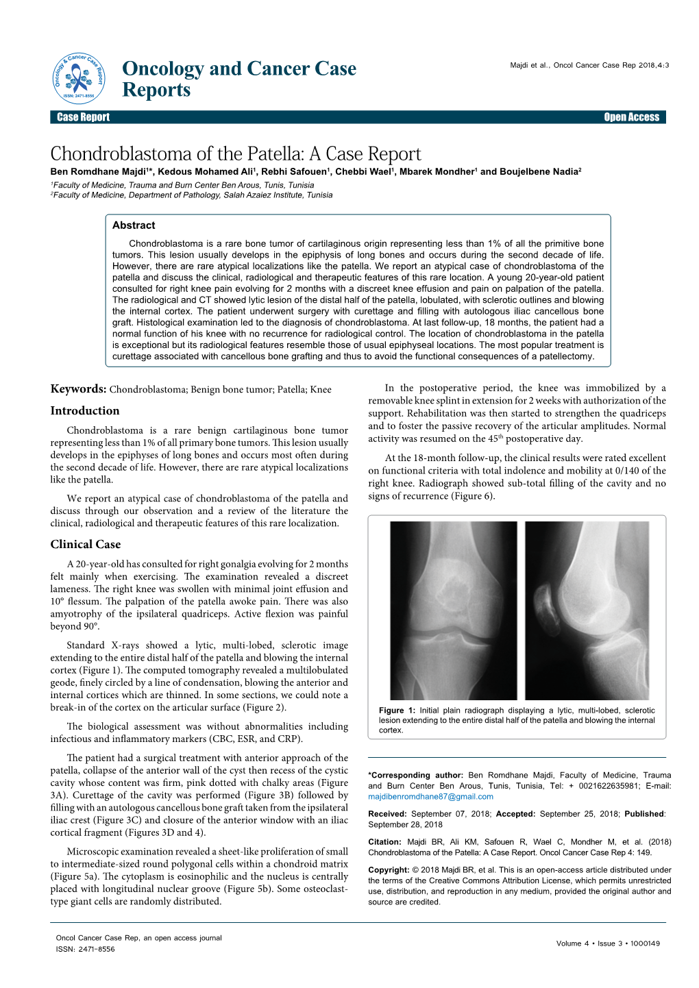 Chondroblastoma of the Patella : a Case Report