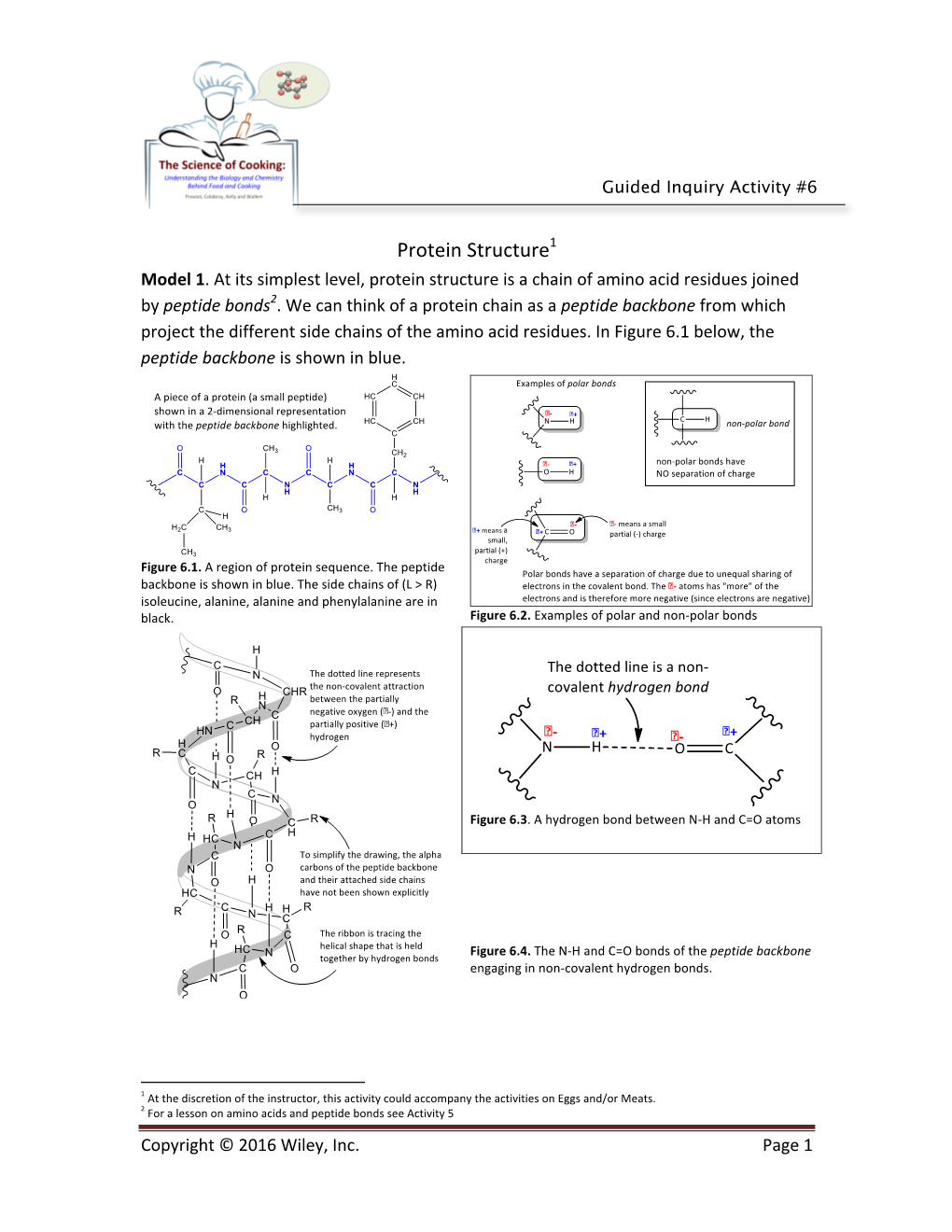 Protein Structure1 Model 1