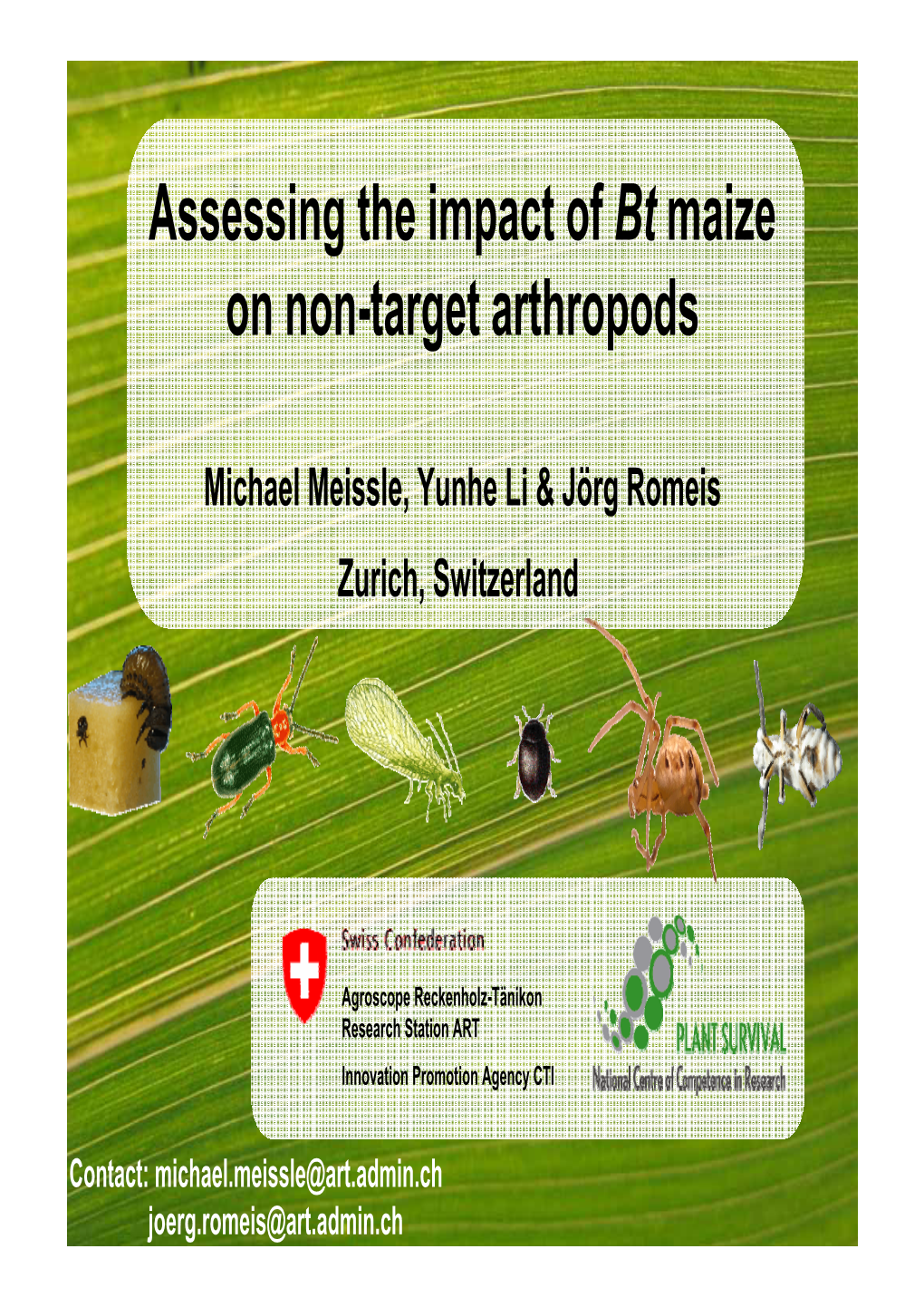 Assessing the Impact of Bt Maize on Non-Target Arthropods