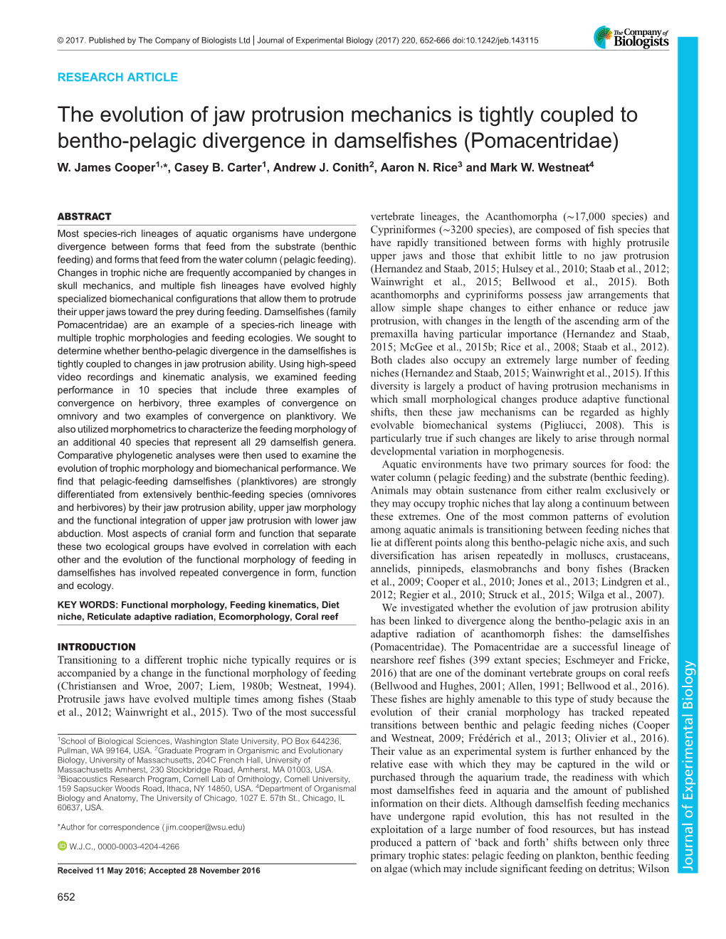 The Evolution of Jaw Protrusion Mechanics Is Tightly Coupled to Bentho-Pelagic Divergence in Damselfishes (Pomacentridae) W