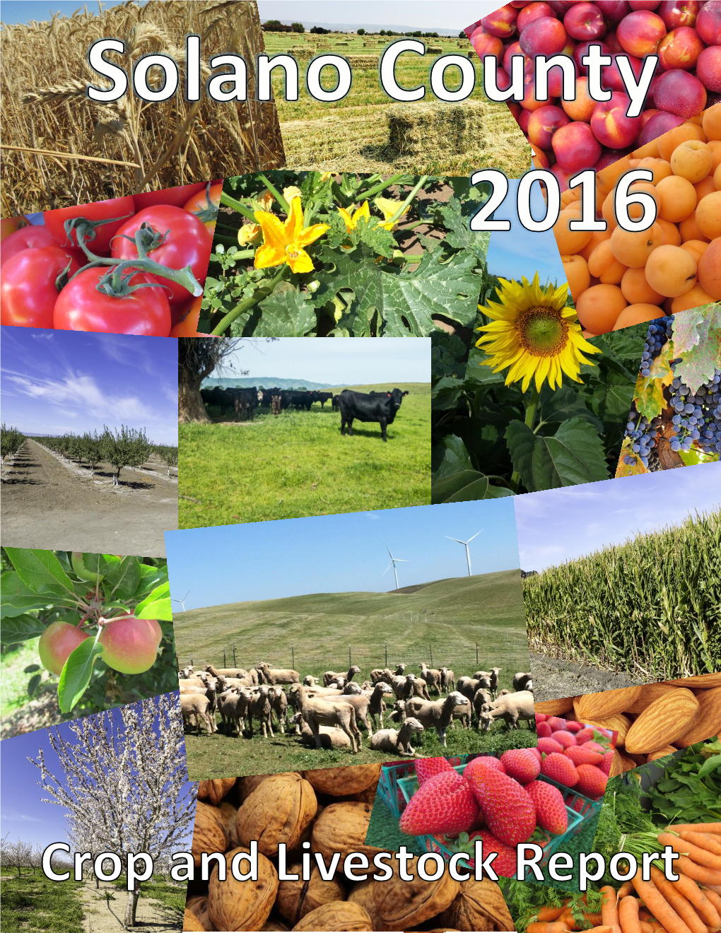 2016 Crop Report