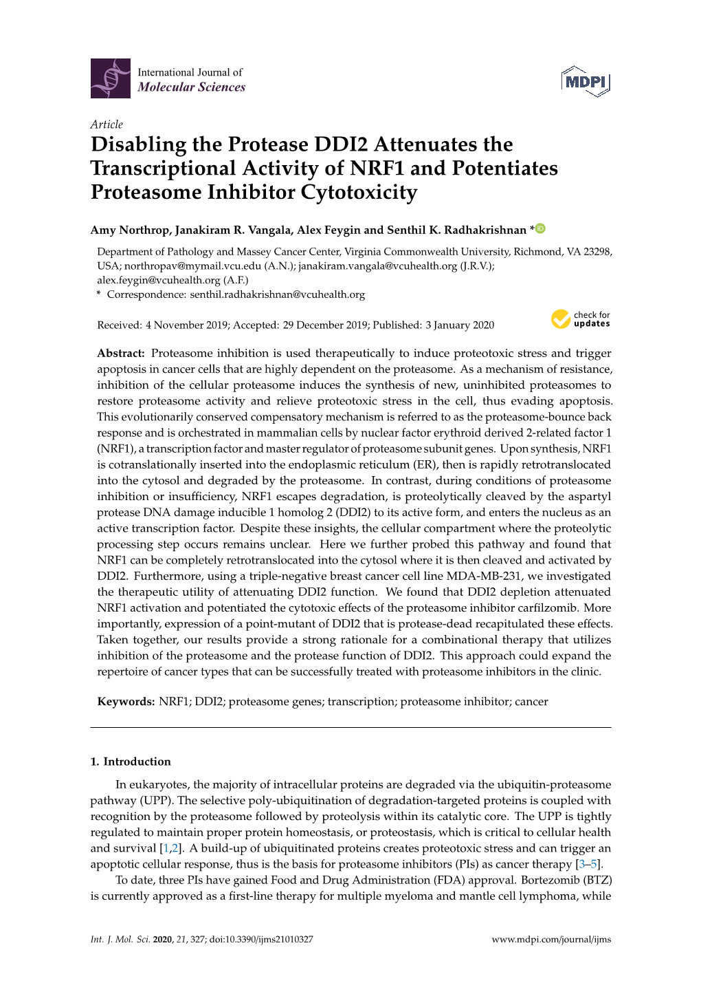 Disabling the Protease DDI2 Attenuates the Transcriptional Activity of NRF1 and Potentiates Proteasome Inhibitor Cytotoxicity