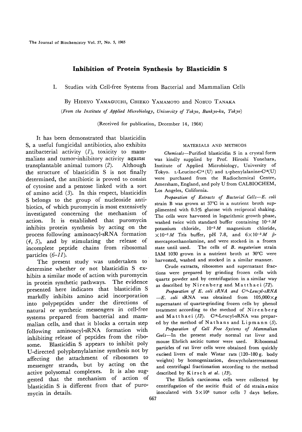 Inhibition of Protein Synthesis by Blasticidin S I. Studies with Cell-Free