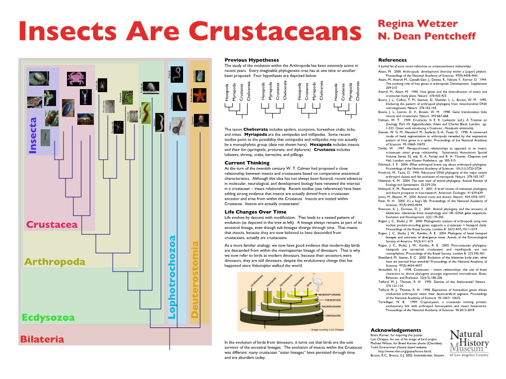 Insects Are Crustaceans N