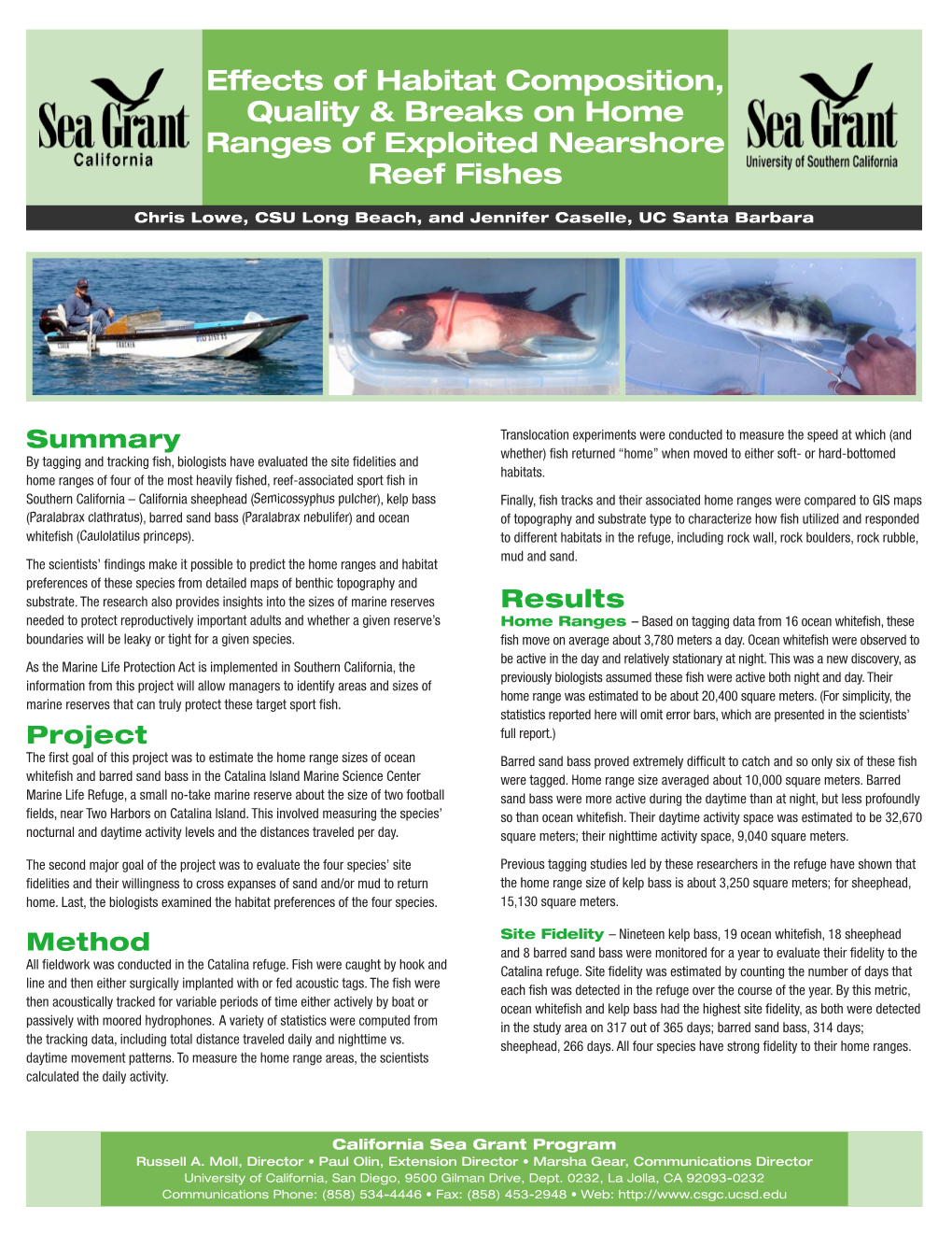 Effects of Habitat Composition, Quality and Breaks on Home Ranges Of