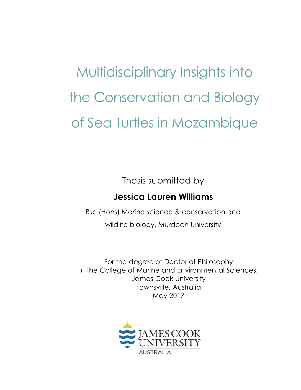 Multidisciplinary Insights Into the Conservation and Biology of Sea Turtles in Mozambique