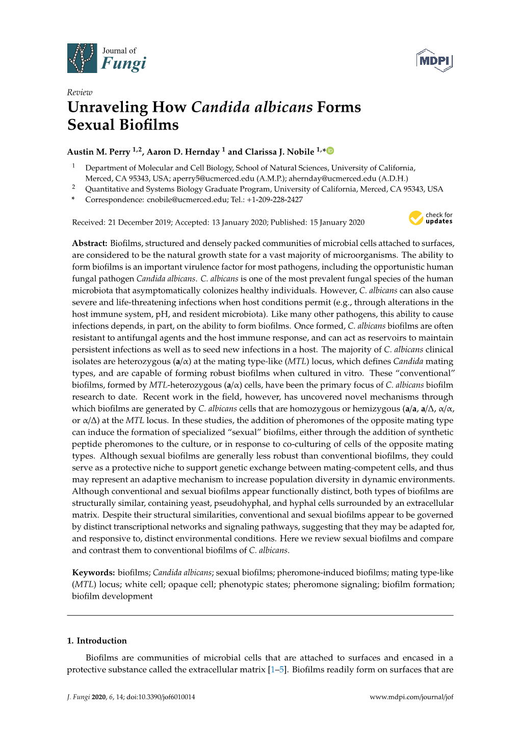 Unraveling How Candida Albicans Forms Sexual Biofilms