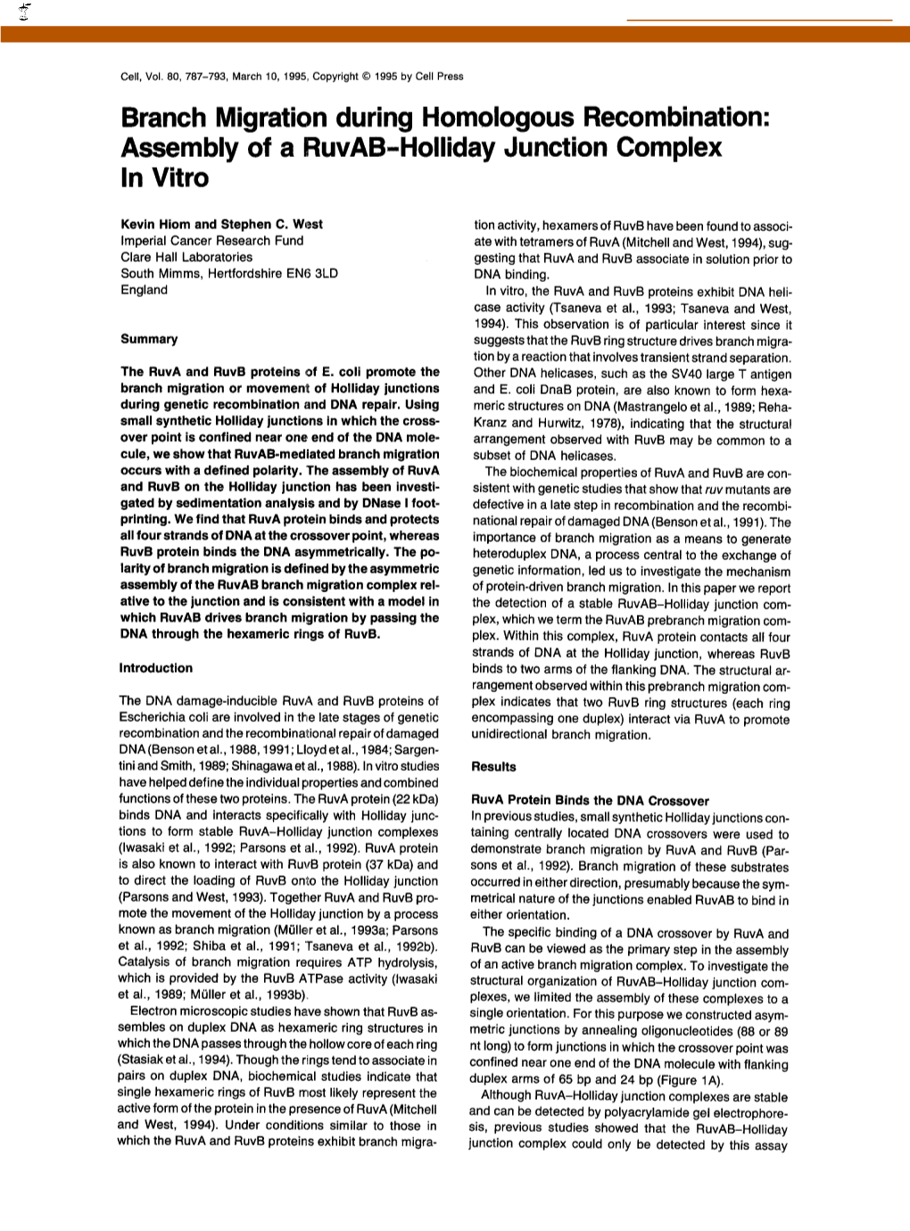 Branch Migration During Homologous Recombination: Assembly of a Ruvab-Holliday Junction Complex in Vitro