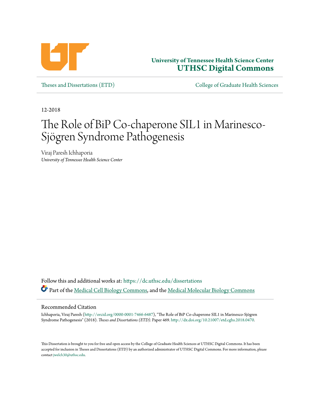 The Role of Bip Co-Chaperone SIL1 in Marinesco-Sjögren Syndrome Pathogenesis