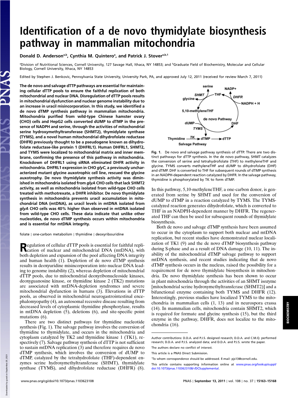 Identification of a De Novo Thymidylate Biosynthesis Pathway in Mammalian Mitochondria