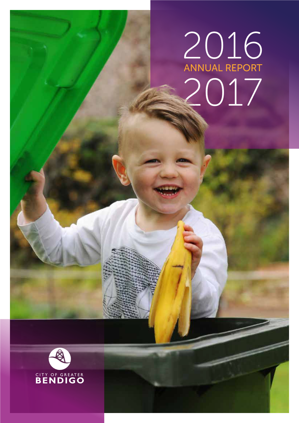 Annual Report 2017