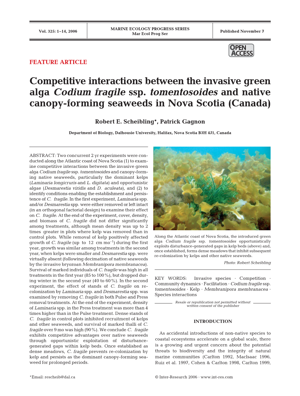 Competitive Interactions Between the Invasive Green Alga Codium Fragile Ssp. Tomentosoides and Native Canopy-Forming Seaweeds in Nova Scotia (Canada)