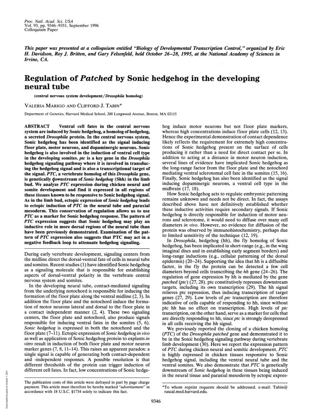 Regulation of Patched by Sonic Hedgehog in the Developing Neural Tube (Central Nervous System Development/Drosophila Homolog) VALERIA MARIGO and CLIFFORD J