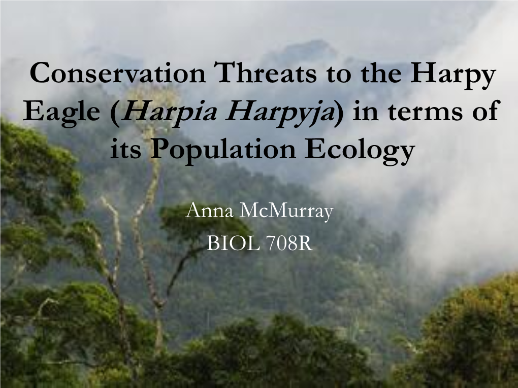 The Conservation Concerns of the Harpy Eagle (Harpia Harpyja)
