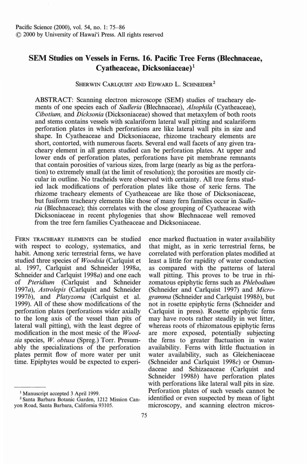 SEM Studies on Vessels in Ferns. 16. Pacific Tree Ferns (Blechnaceae, Cyatheaceae, Dicksoniaceae) 1