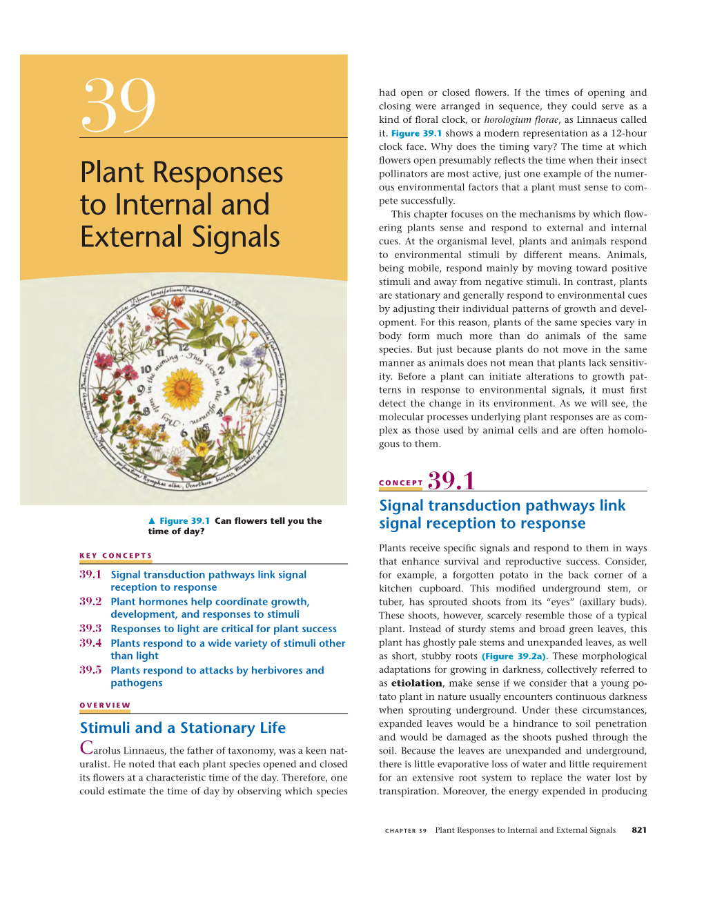 CHAPTER 39 Plant Responses to Internal and External Signals 821 CELL CYTOPLASM WALL