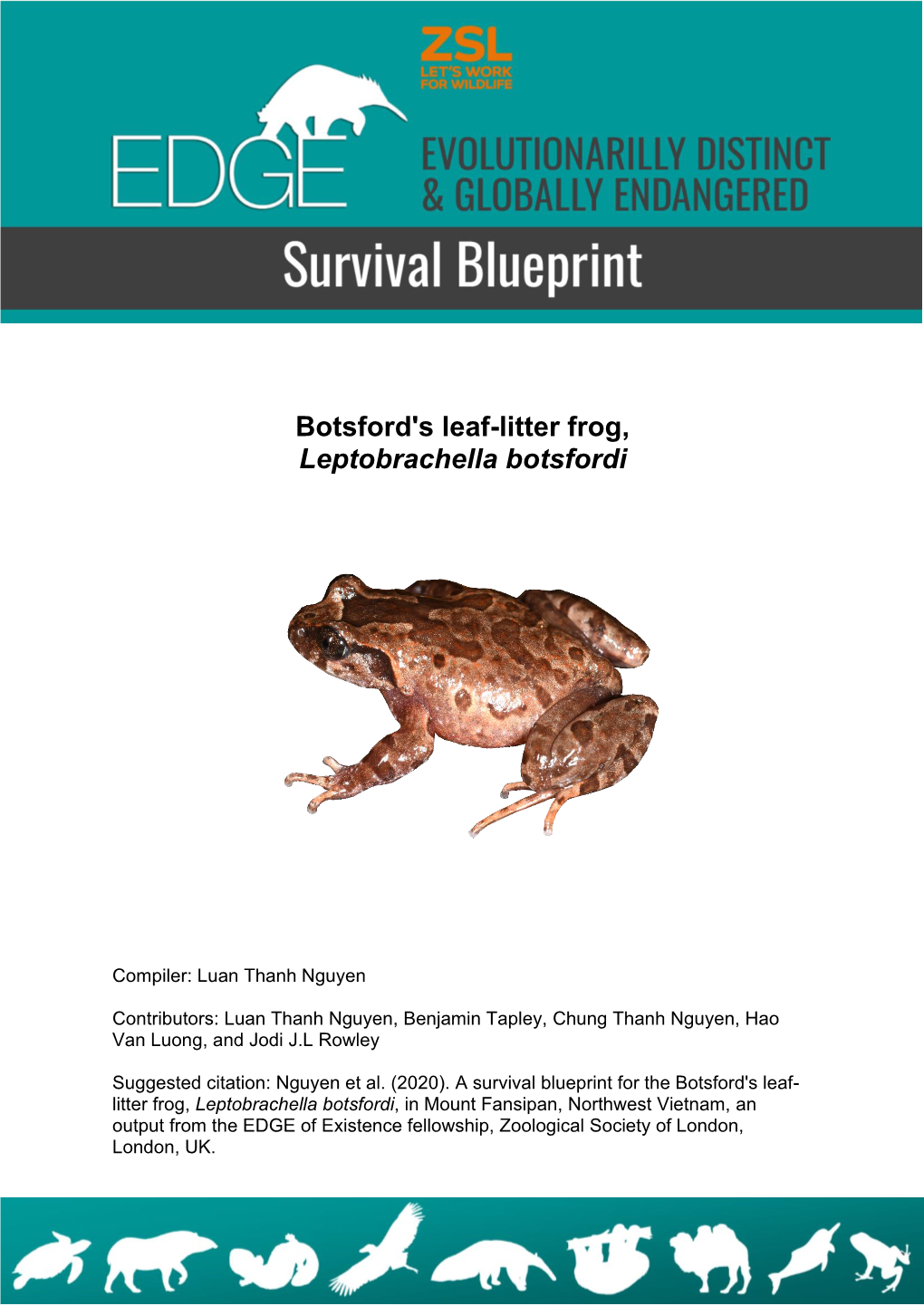 Botsford's Leaf-Litter Frog, Leptobrachella Botsfordi