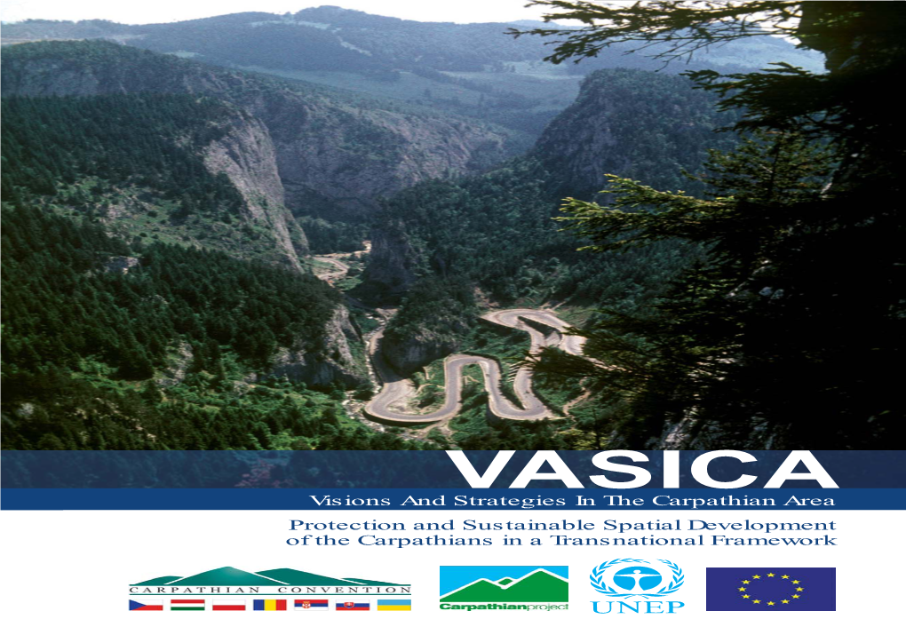 VASICA (Vision and Strategies in the Carpathian Area) Is a Transnational Spatial Development Document and a Key Result of the EU CADSES Carpathian Project