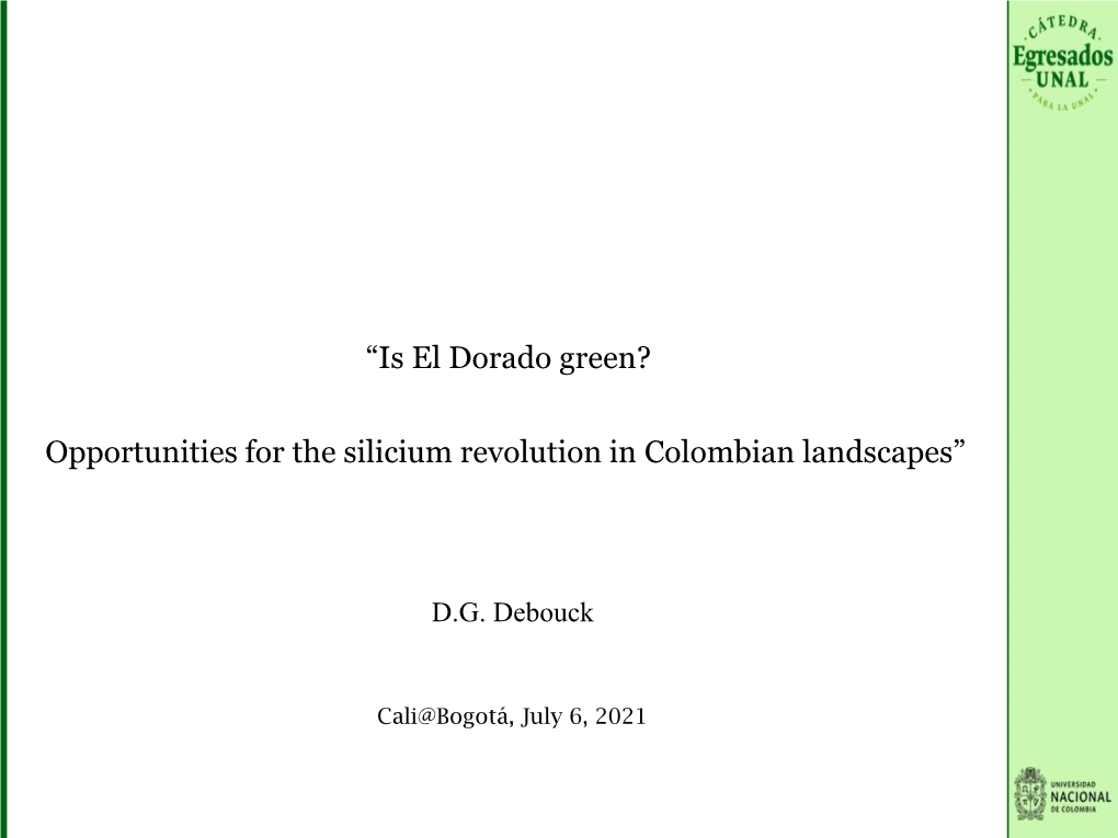 “Is El Dorado Green? Opportunities for the Silicium Revolution in Colombian